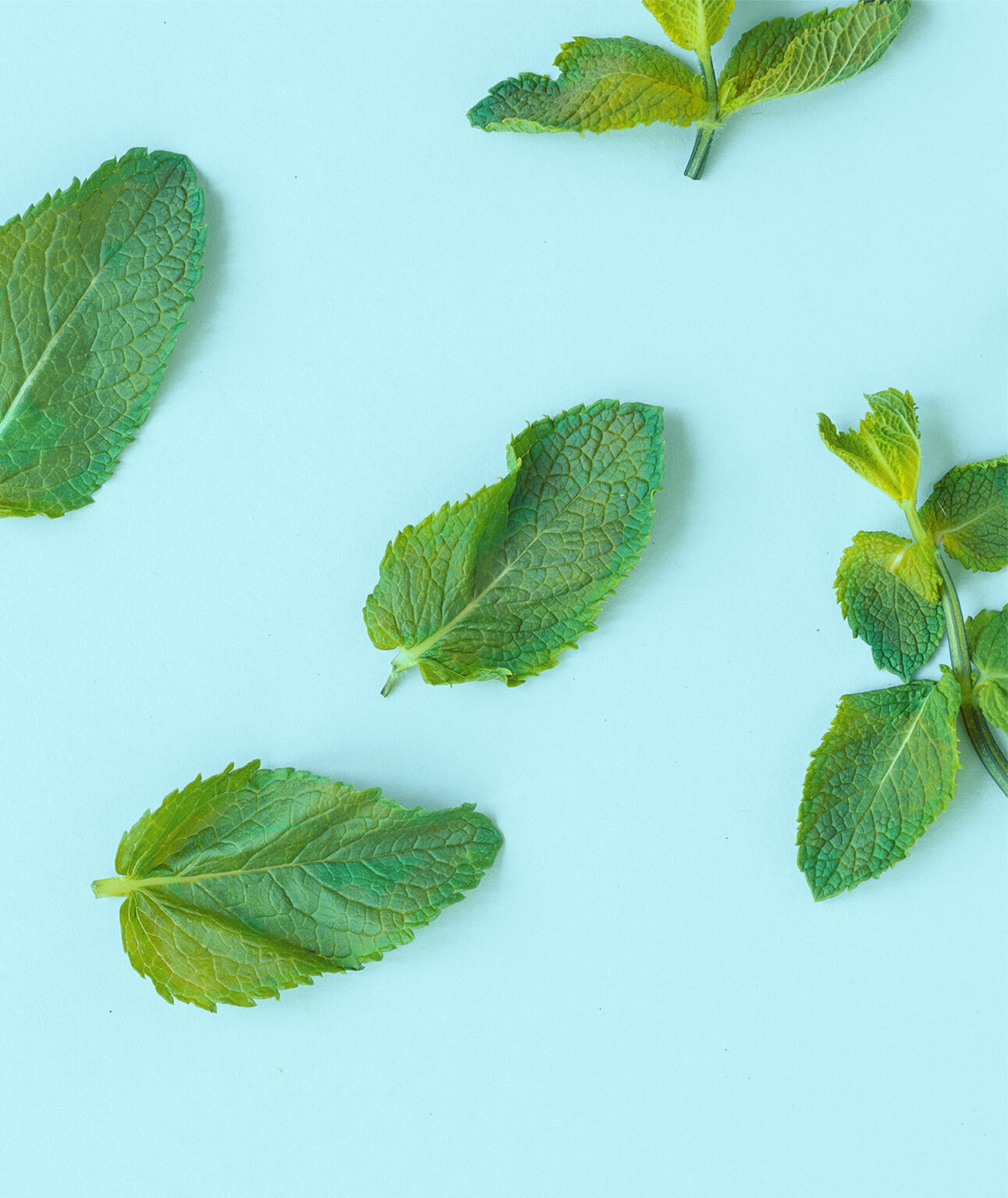 emoform-zahnseide-dental-floss-mint-usp3