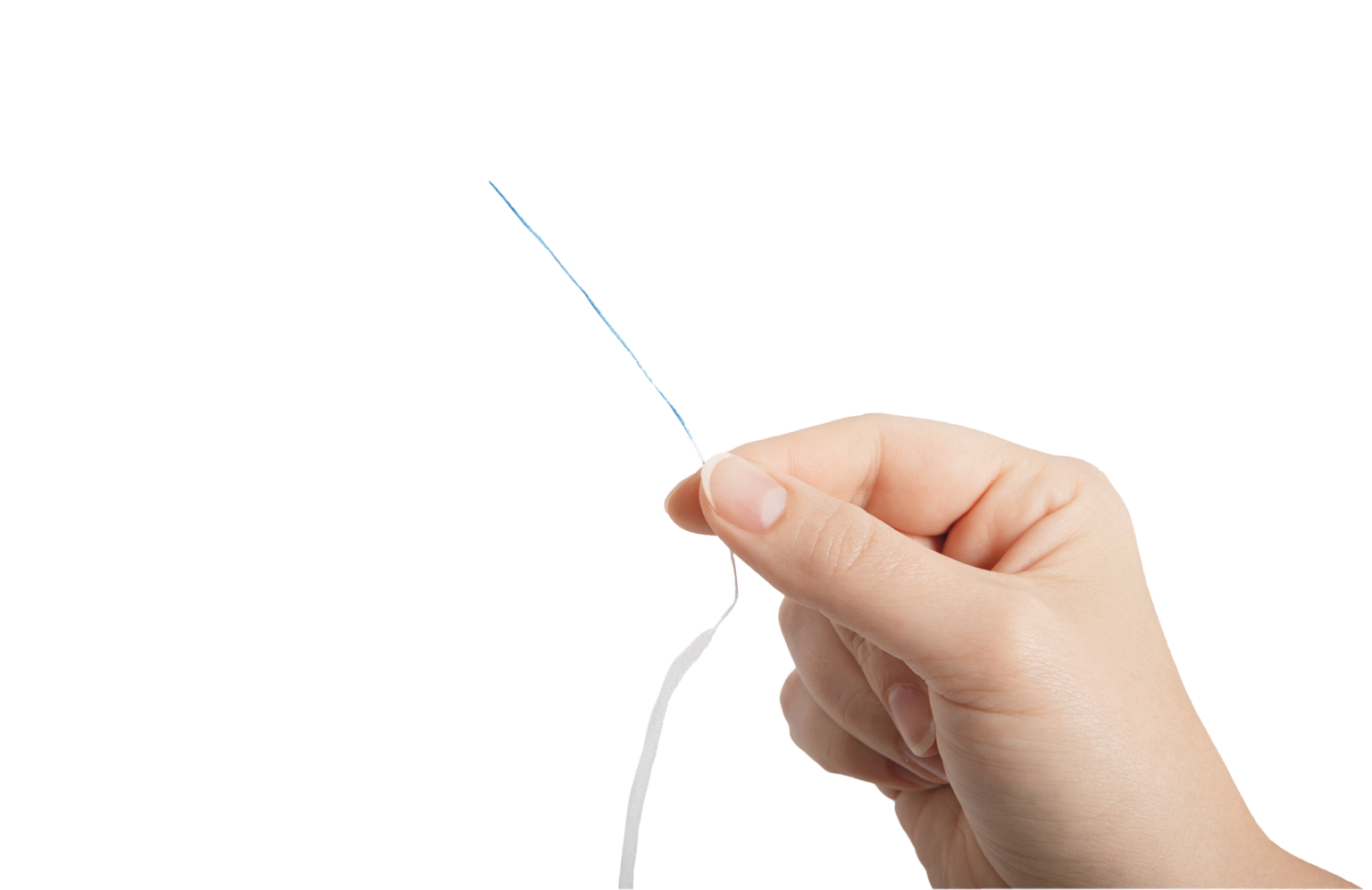 wild-hauptmerkmal-gesunde-zaehne