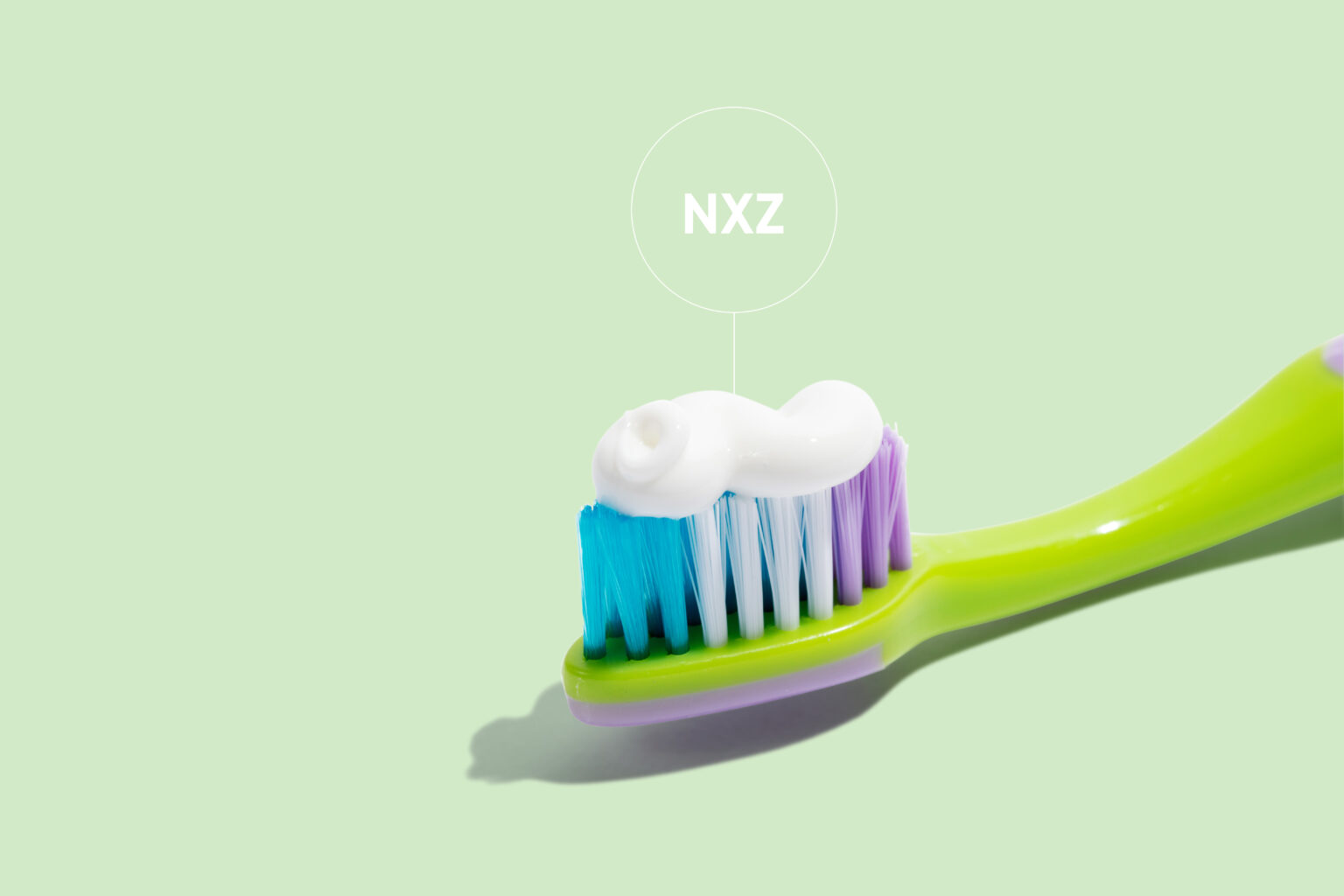 youngstars-hauptmerkmal-2