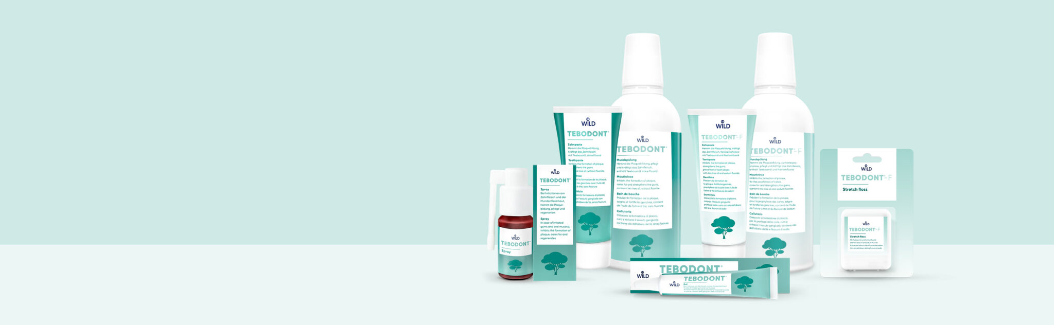 tebodont_header_desktop_3