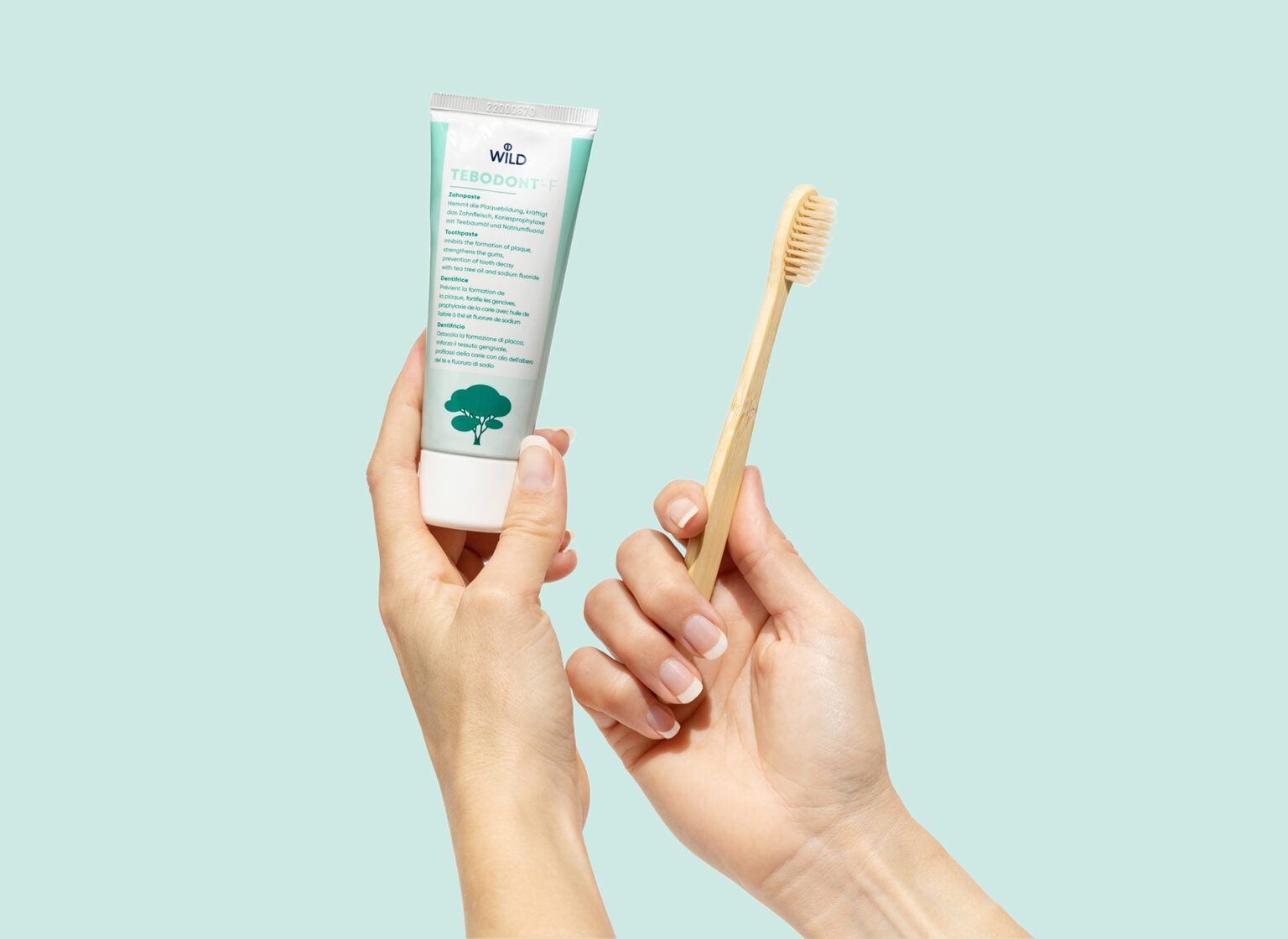 tebodont_section_2-KORREKTUR (1)